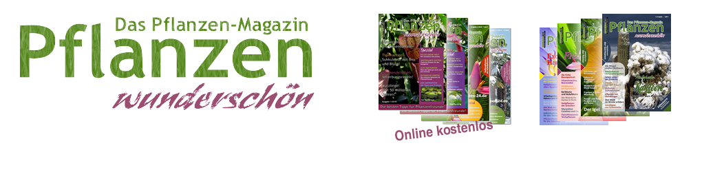 Pflanzen Magazine