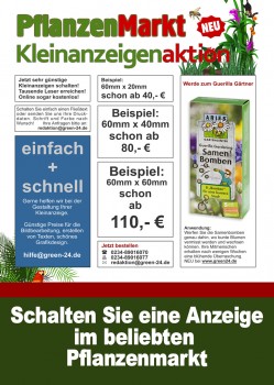 Kleinanzeige im PflanzenMarkt 60x20mm