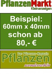 Kleinanzeige im Format 60x40mmm