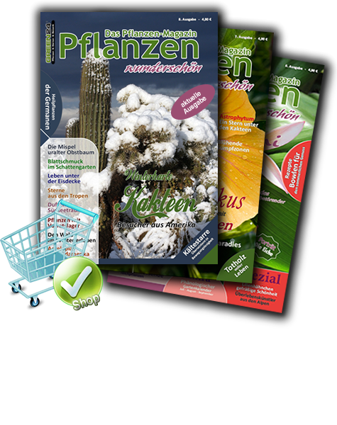 Pflanzen-Magazine bestellen
